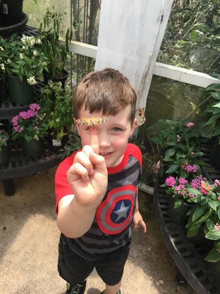 The Hardware Store and a Butterfly Experience: The Ultimate Suburban Florida Weekend