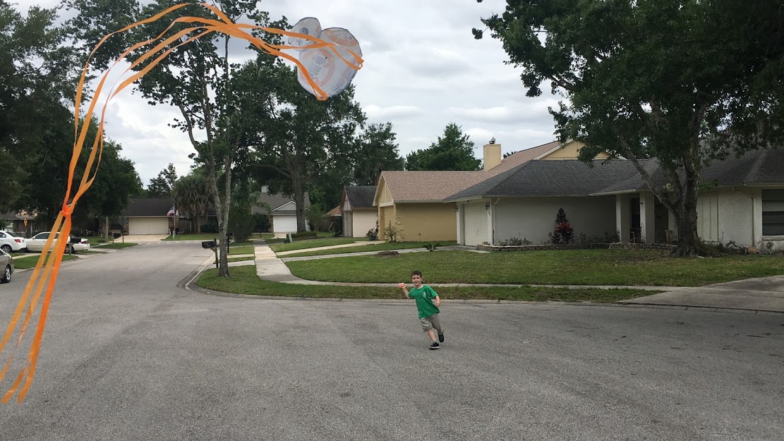 Our Family Flies Kites, Kind Of