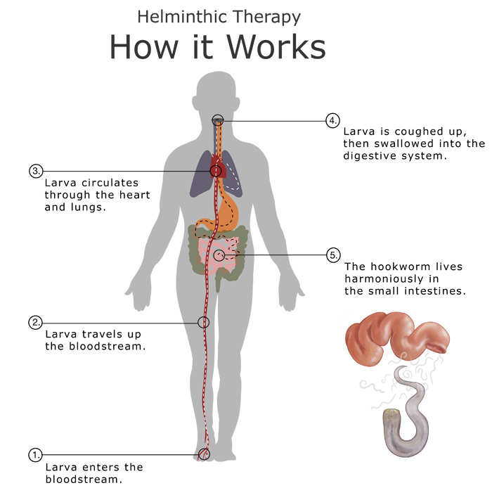 Image from UCSC Science Notes