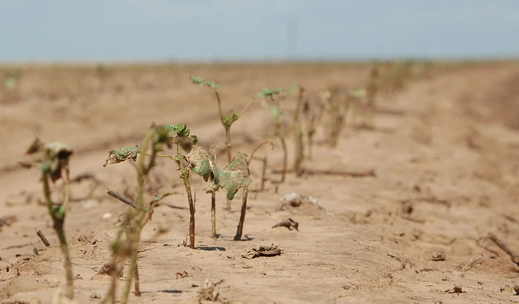 Image Source: Farmaid.org
