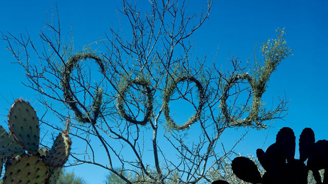 Good by Stefan Sagmeister
