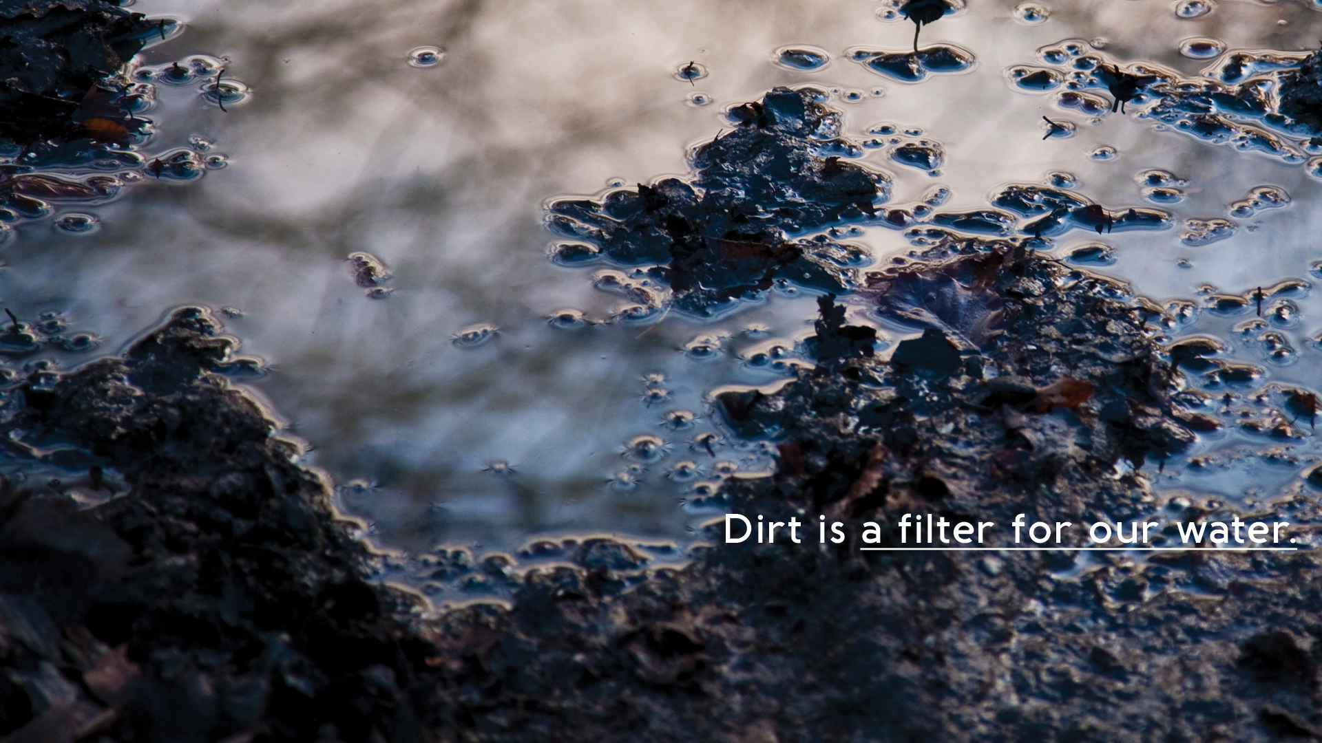 Soil Spa v2.02.jpg