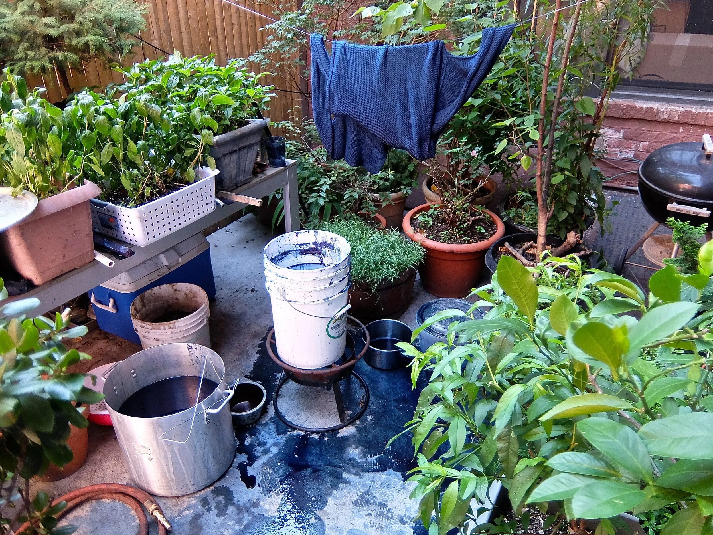 DSCF1289.JPG