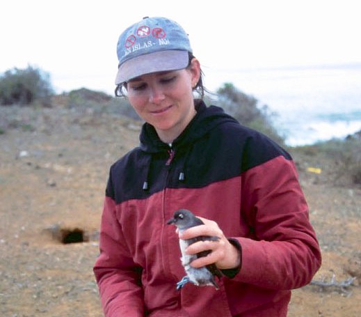 Shaye Wolf, seabird scientist, San Benito Island