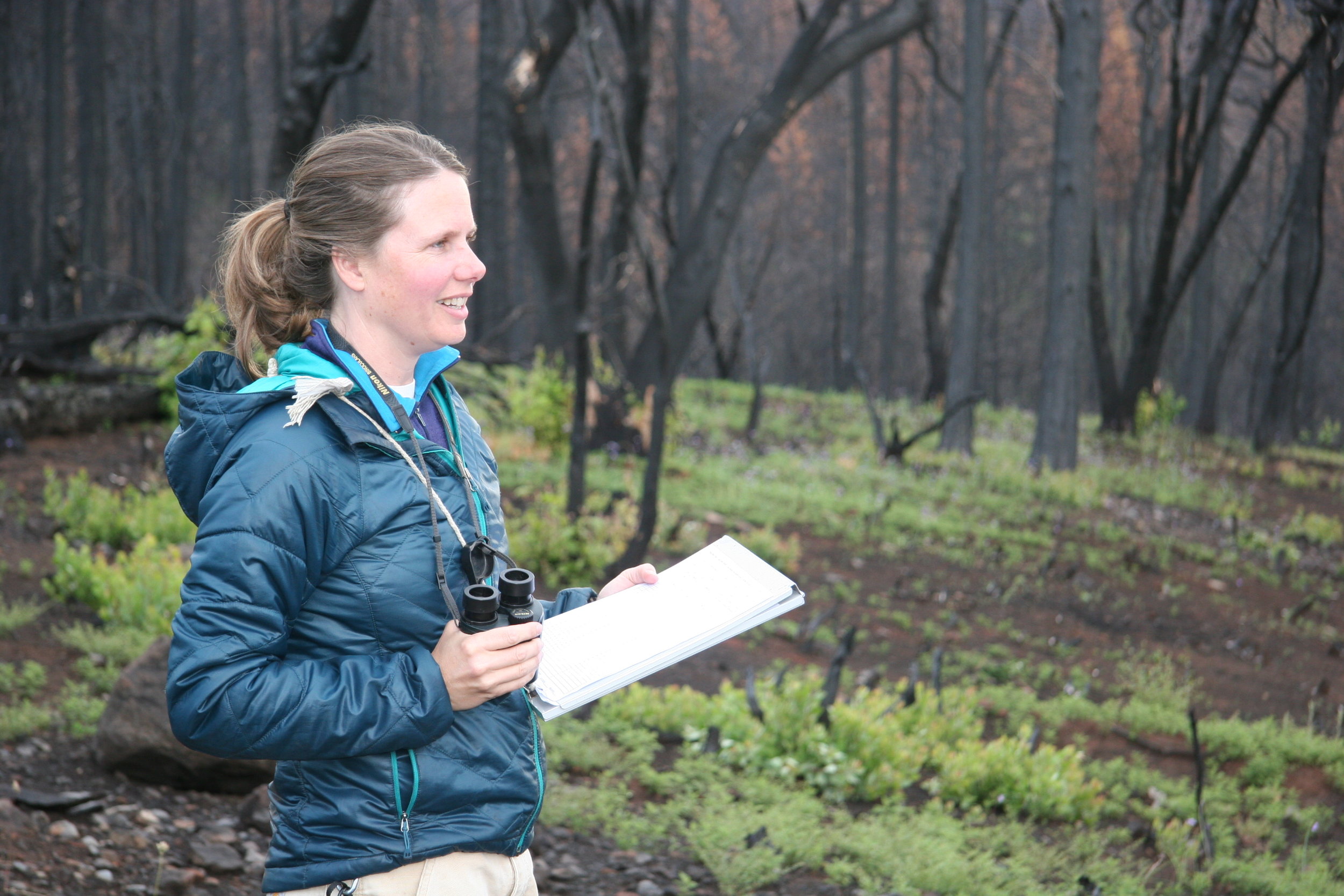 Alissa Fogg, wildlife ecologist, Rim Fire