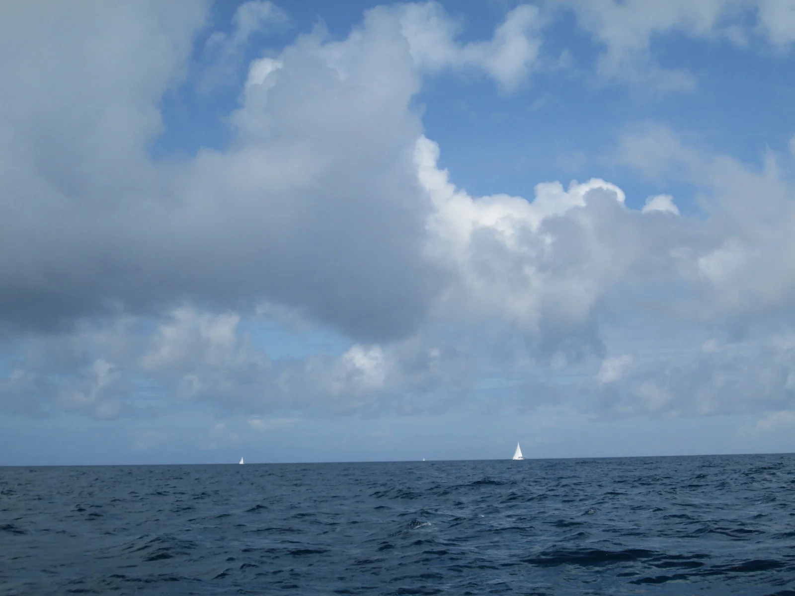 Racing to Scillies - "Are we in the lead?"