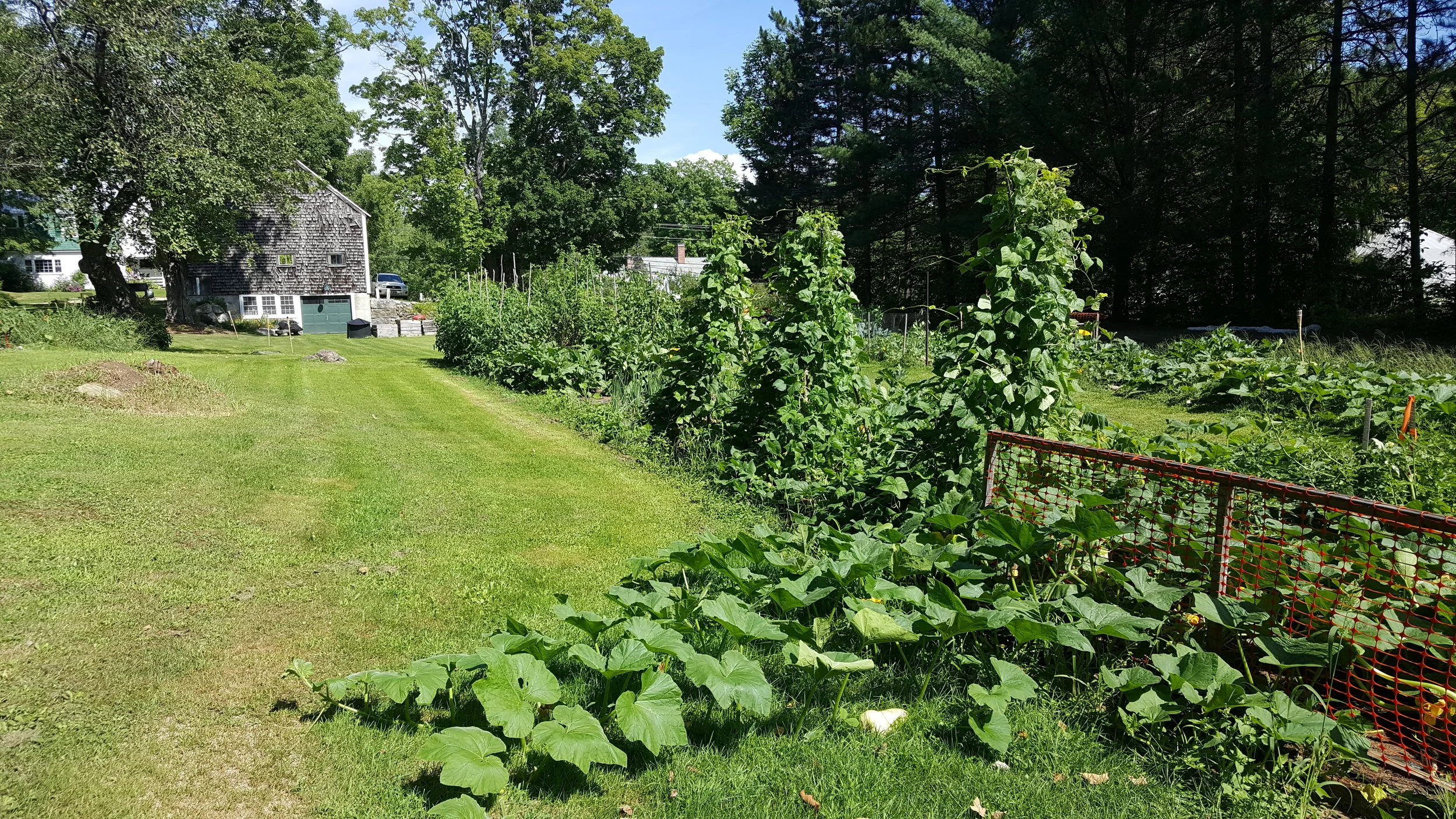 20160821_105643.jpg