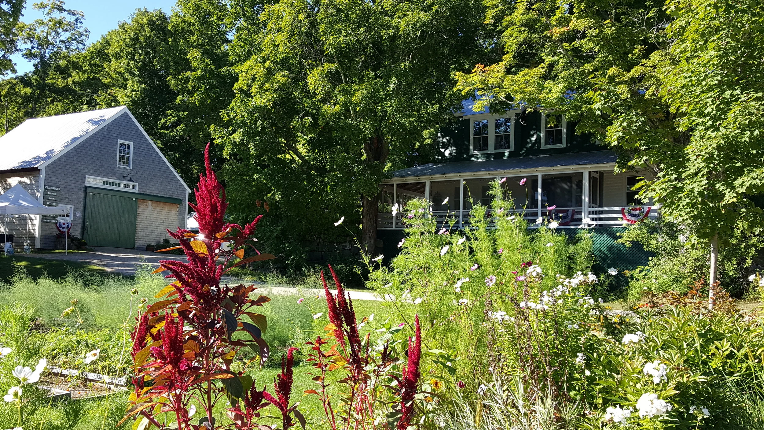 20160913_095207.jpg