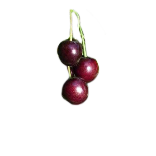 Hedelfigen Cherry