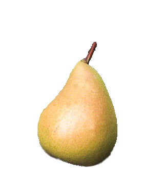 Sunrise Pear