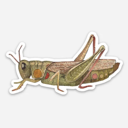 grasshoppersticker.jpg