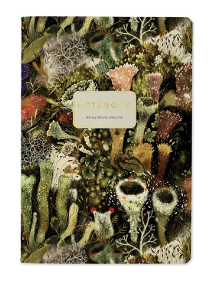 Screenshot 2025-02-25 154656.png