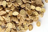 p-1387-astragalus-root-cs.jpg