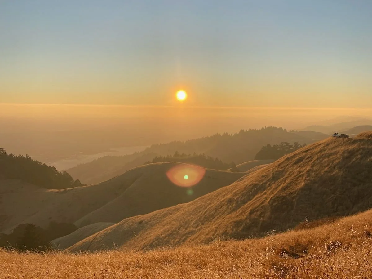 The story that will set you free 