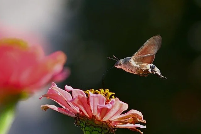 On Presence and Letting Go