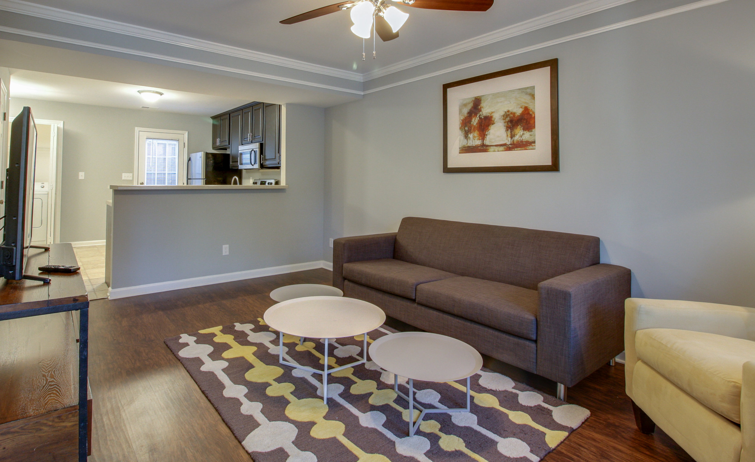 Davis Park Smyrna Living Room 1.jpg