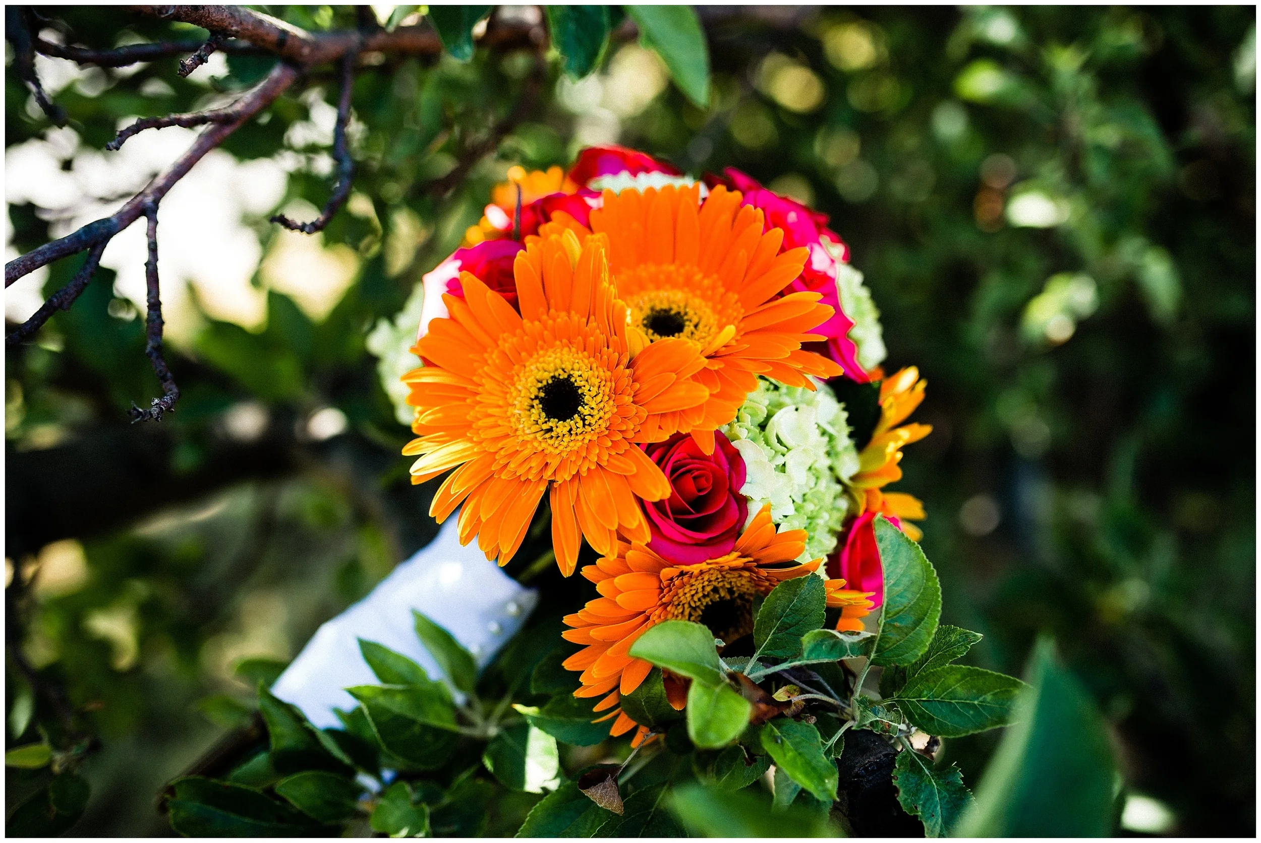 Josh + Ashley | Just Married #kyleepaigephotography_0413.jpg
