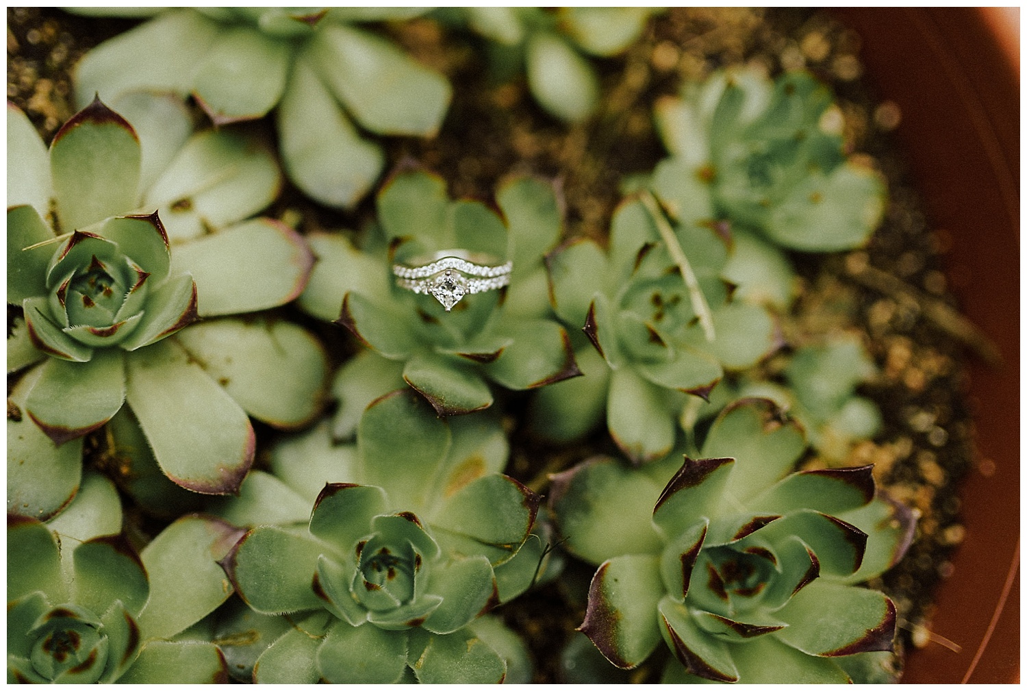 #kyleepaigephotography_0115.jpg