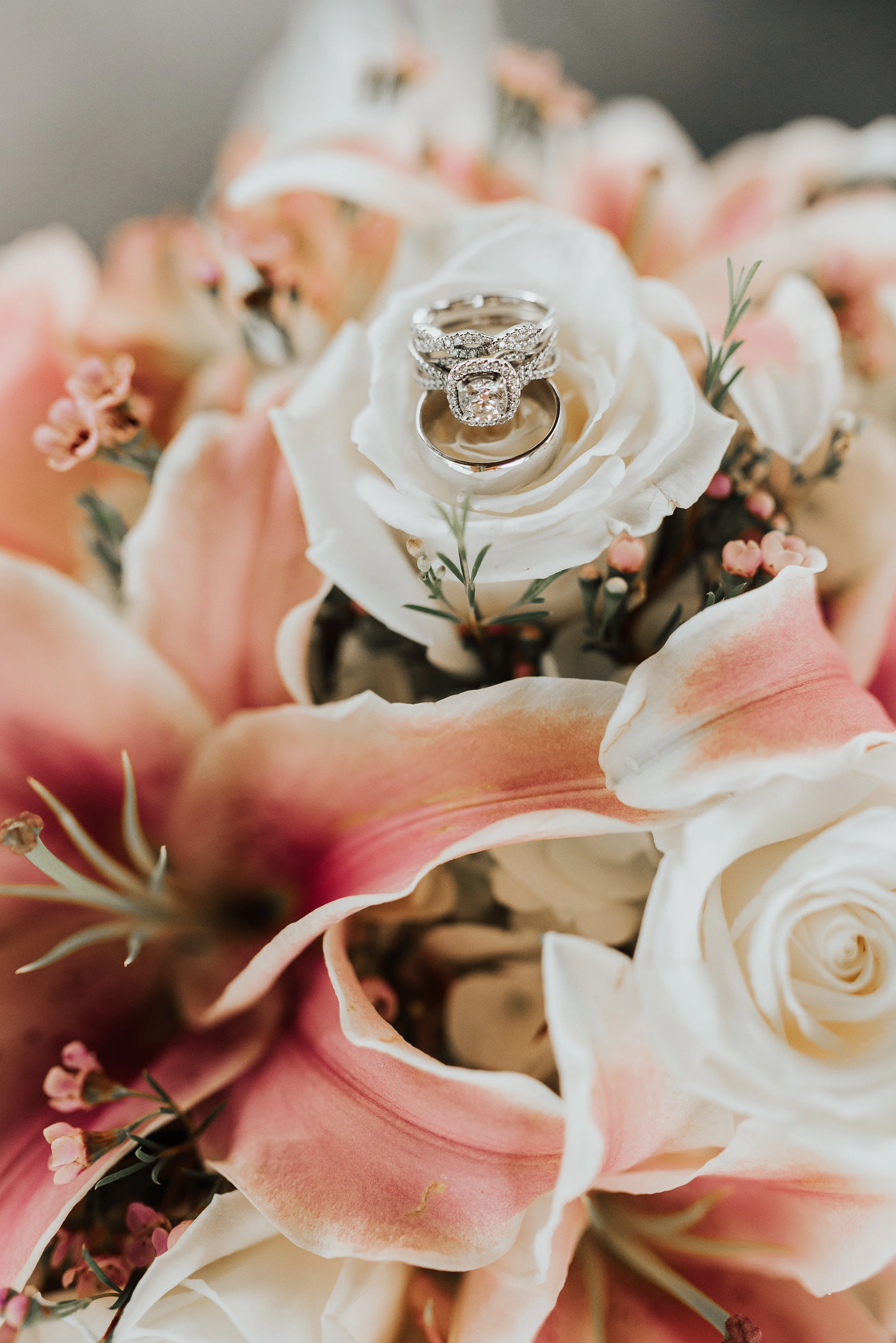 KyleePaigePhotography(9of915).jpg