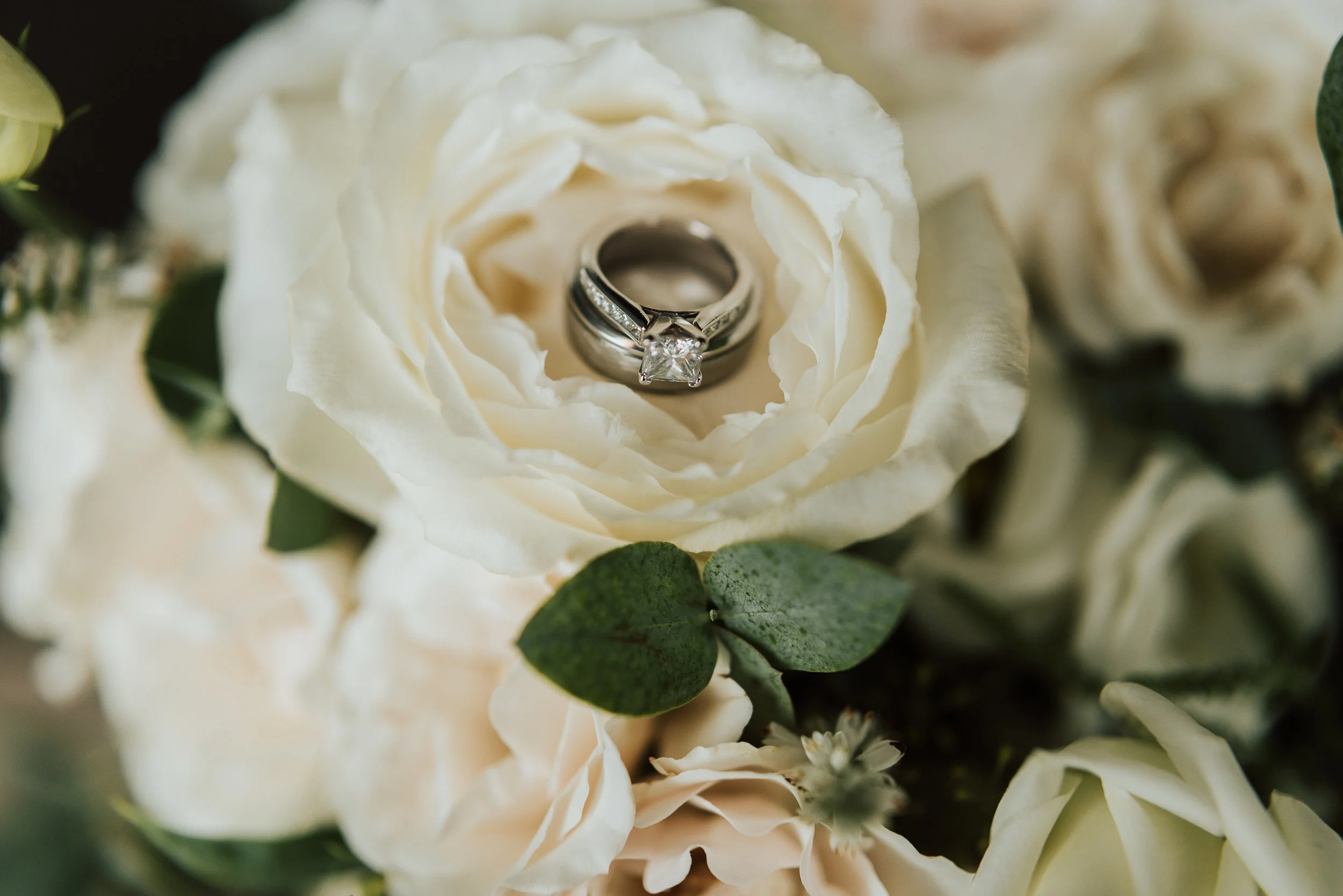 KyleePaigePhotography(193of720)-5.jpg