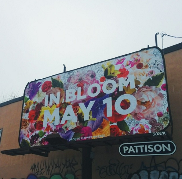 Screen Shot 2016-04-01 at 2.29.06 PM.png