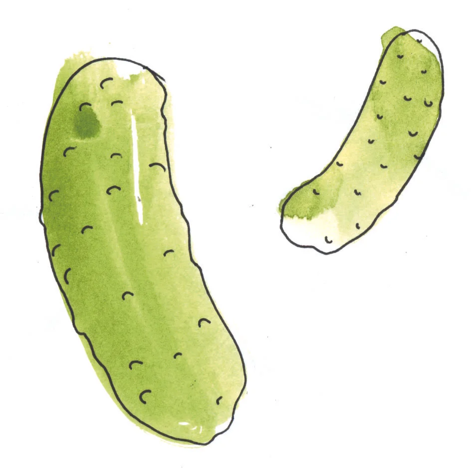 pickle.jpg