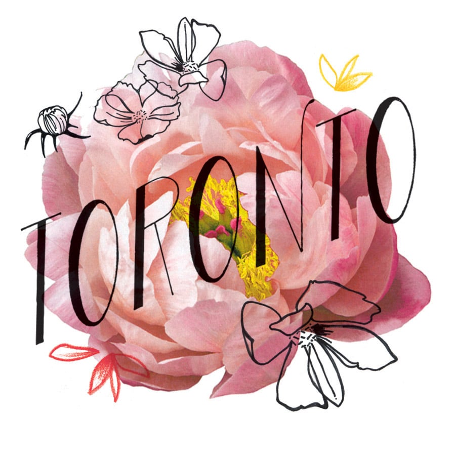 TORONTOflower.jpg
