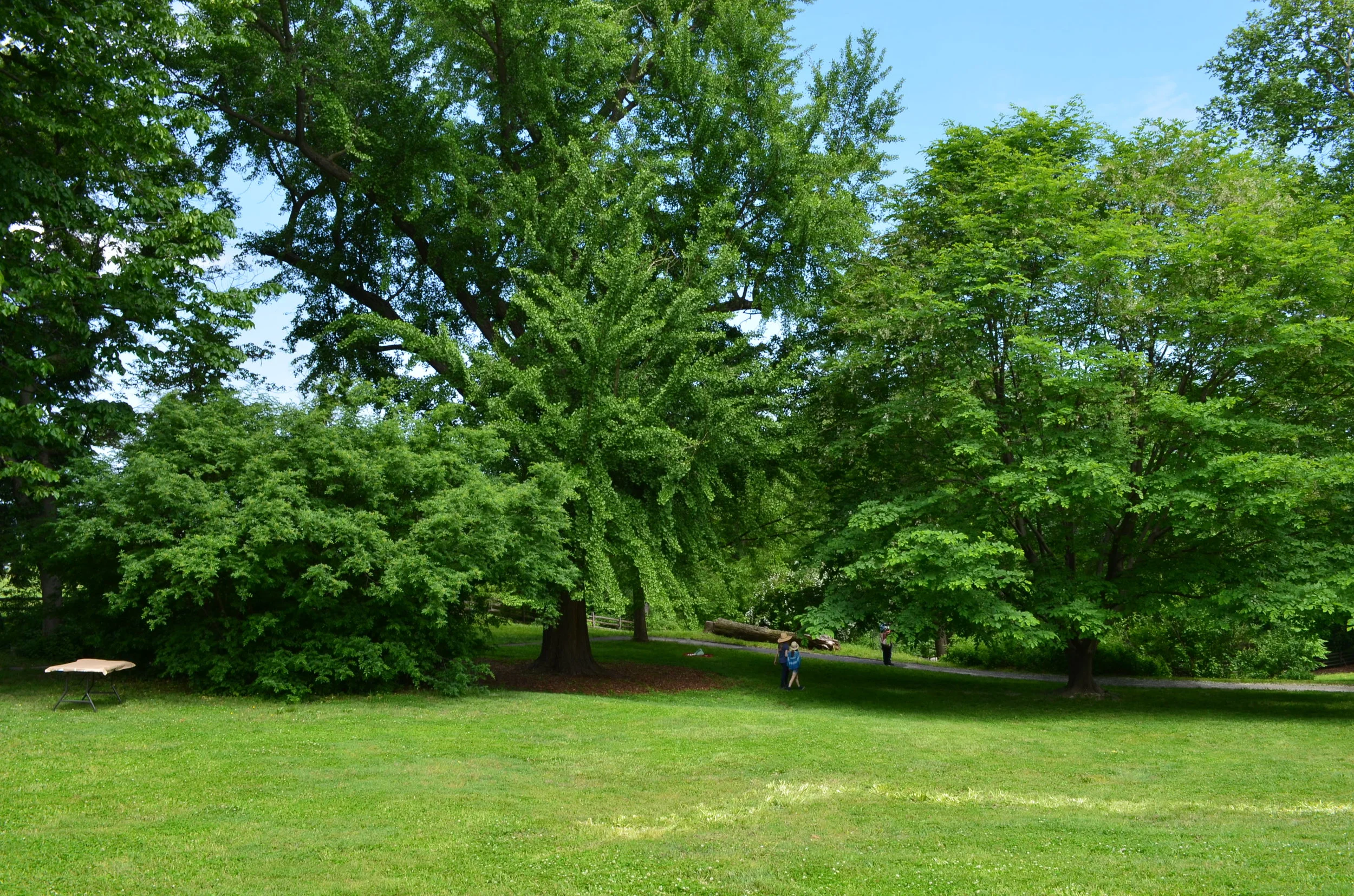 DSC_0025.JPG
