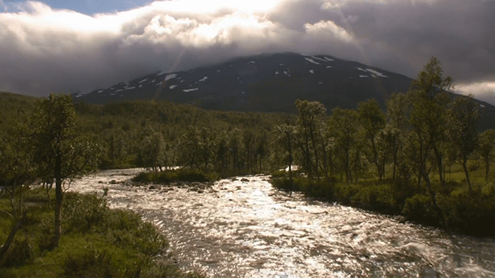 rivergif.gif