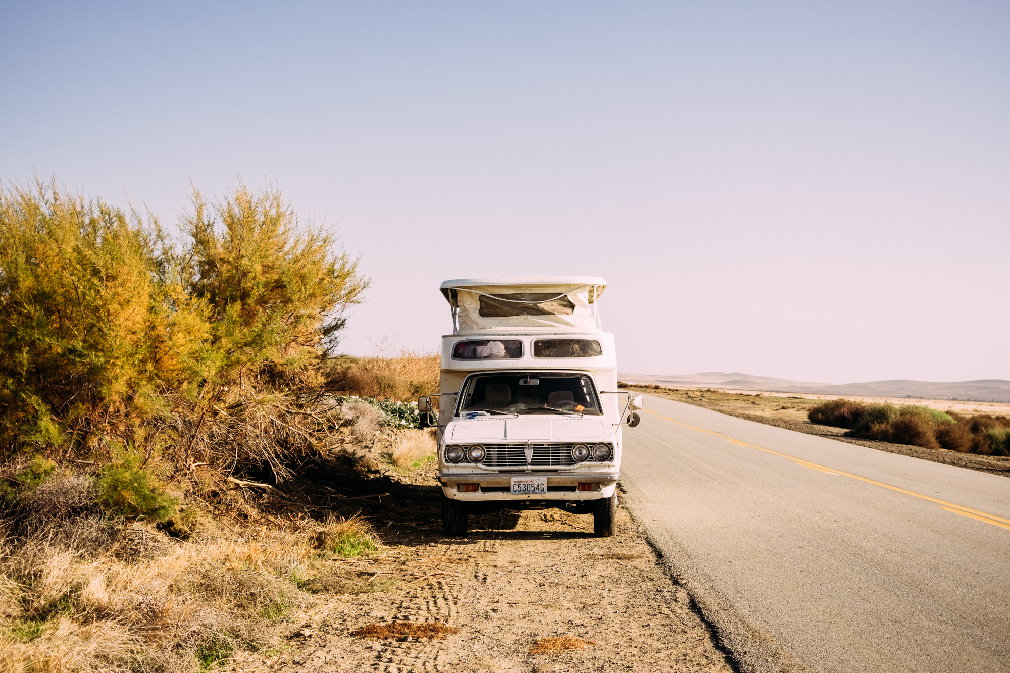 We spent our days in the dead center of the road, reading or writing or wandering down the center line. We ate stale brazil nuts and rationed our water. We thought about what we'd kill for food. The birds in the tree near us, the pocket mice, the insects.