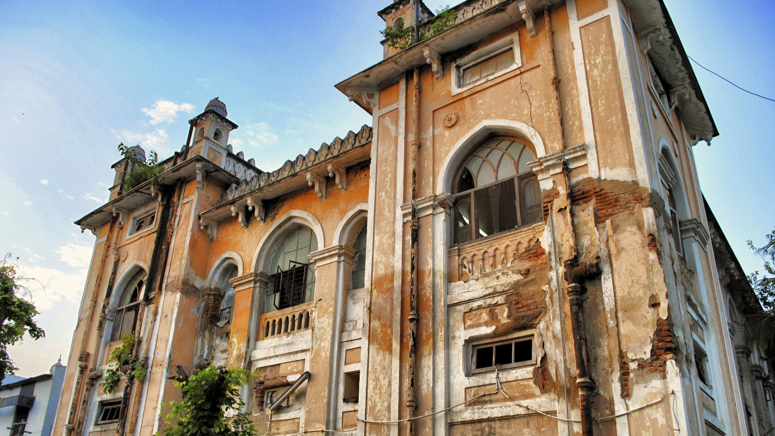 DSC_0310 _Snapseed.jpg