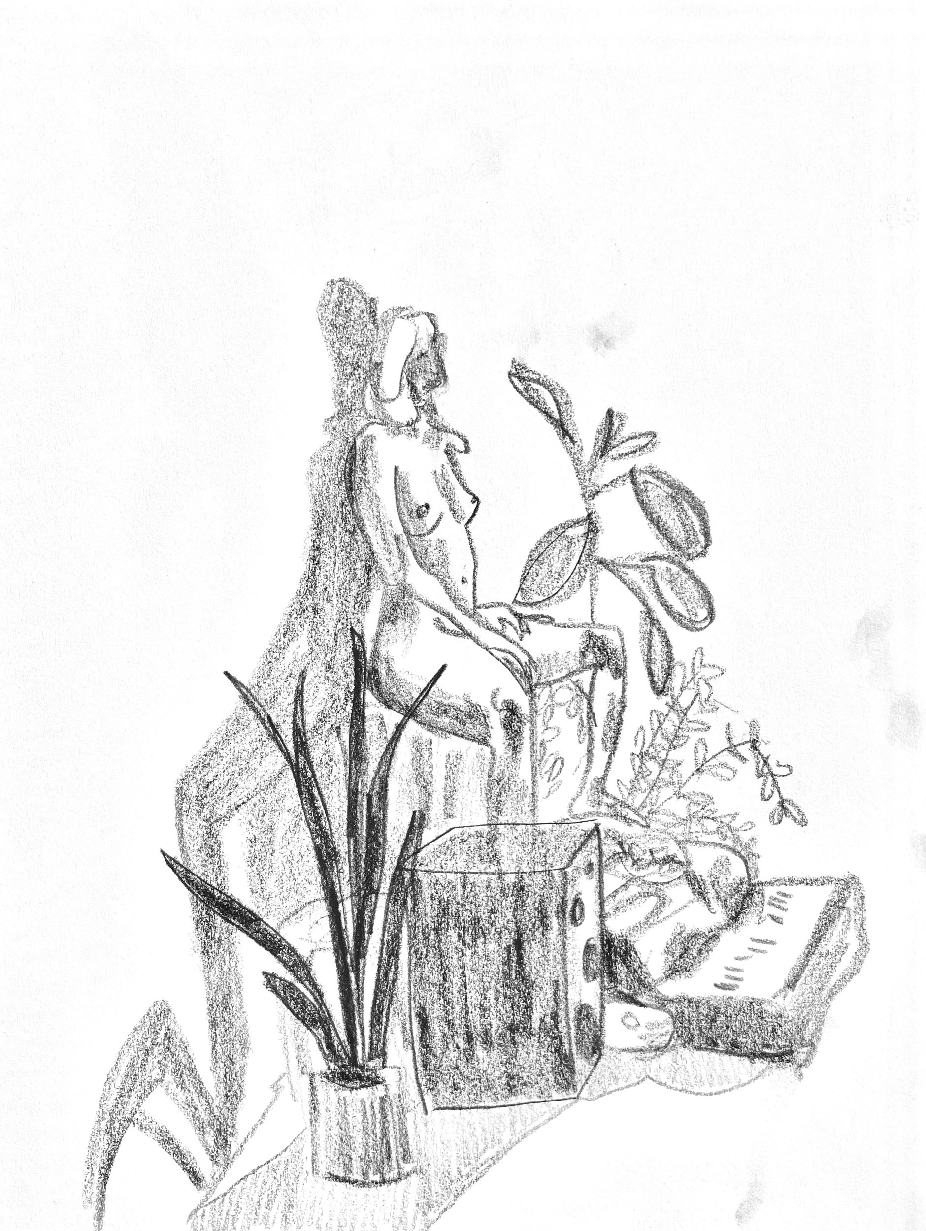 Charcoal on paper, 27 x 35.5cm