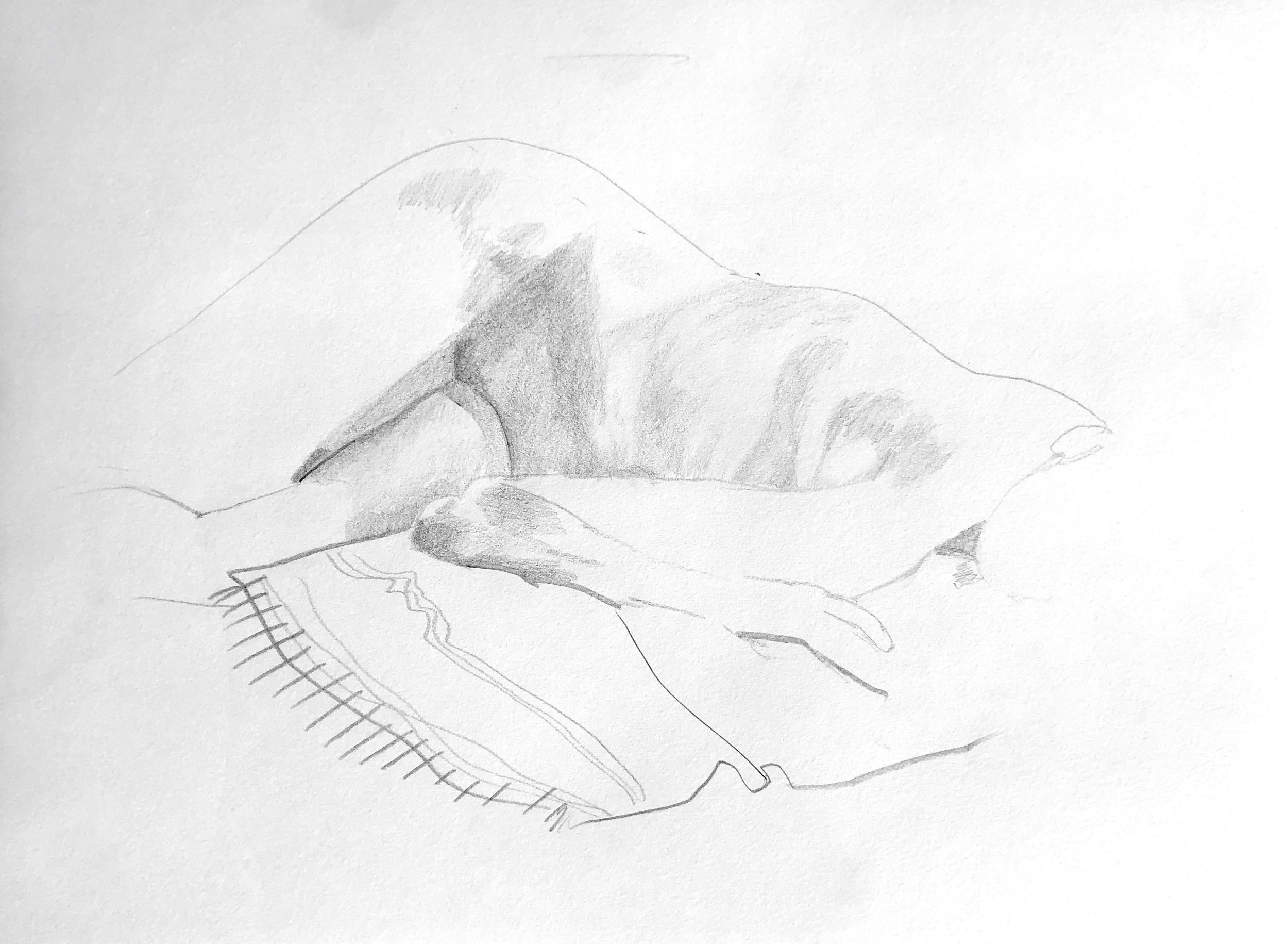  Graphite on paper  This drawing is also available as a print. 