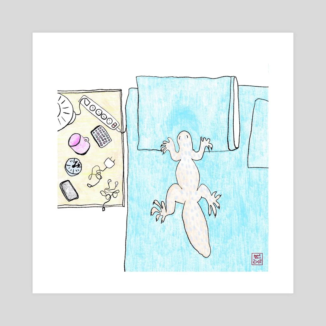 080533B6-153C-4A2F-B512-35FED441EAC4