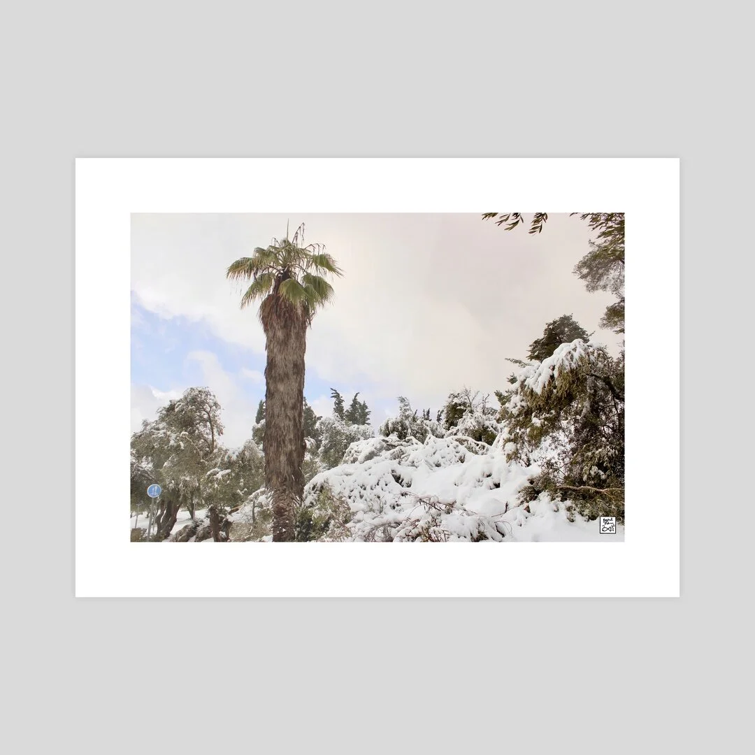 4DED1A31-12B6-4CD2-ACCF-B7A3C48CB796