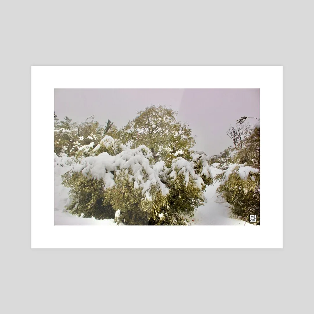 C4B9A849-BE3E-440B-8438-3EA2B7749F20