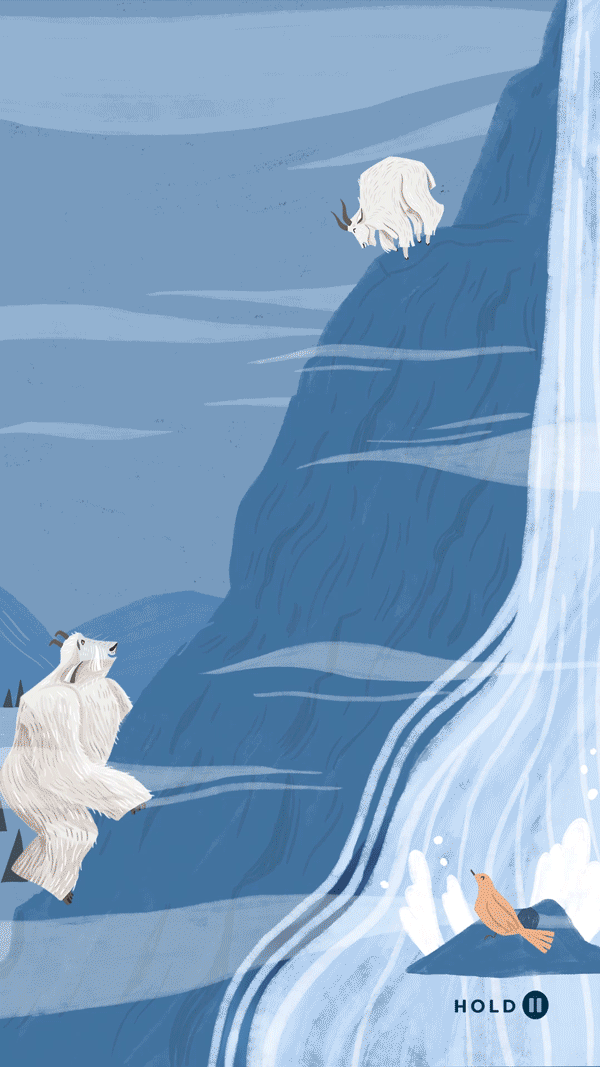 frame5.gif
