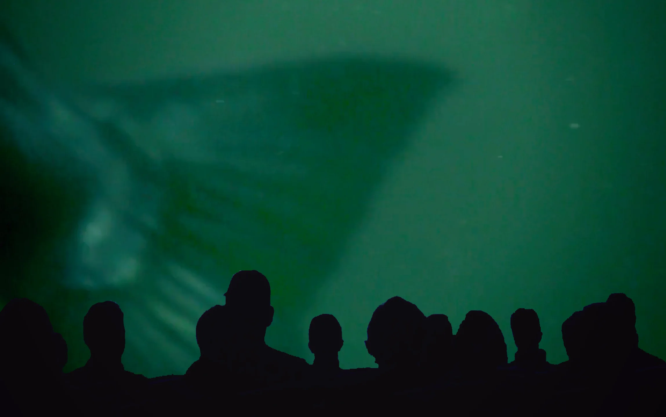 audience for host a screening.jpg