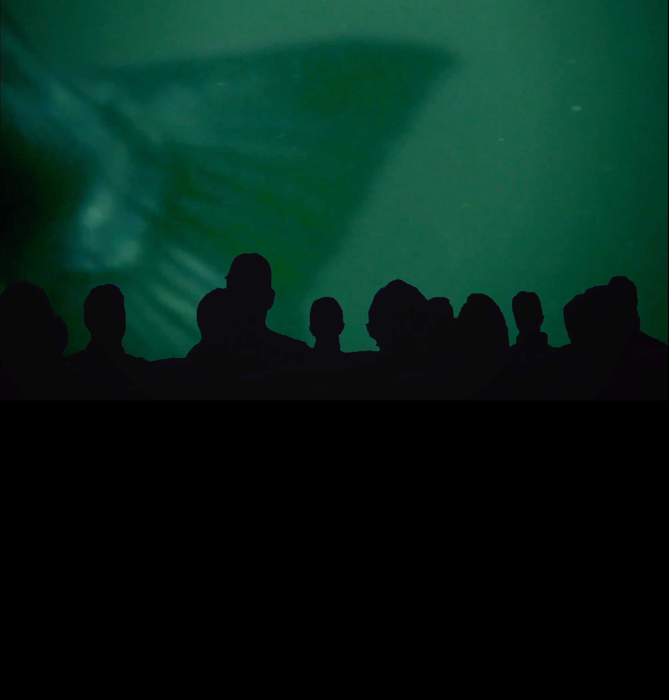 host_a_screening_TMOF.jpg