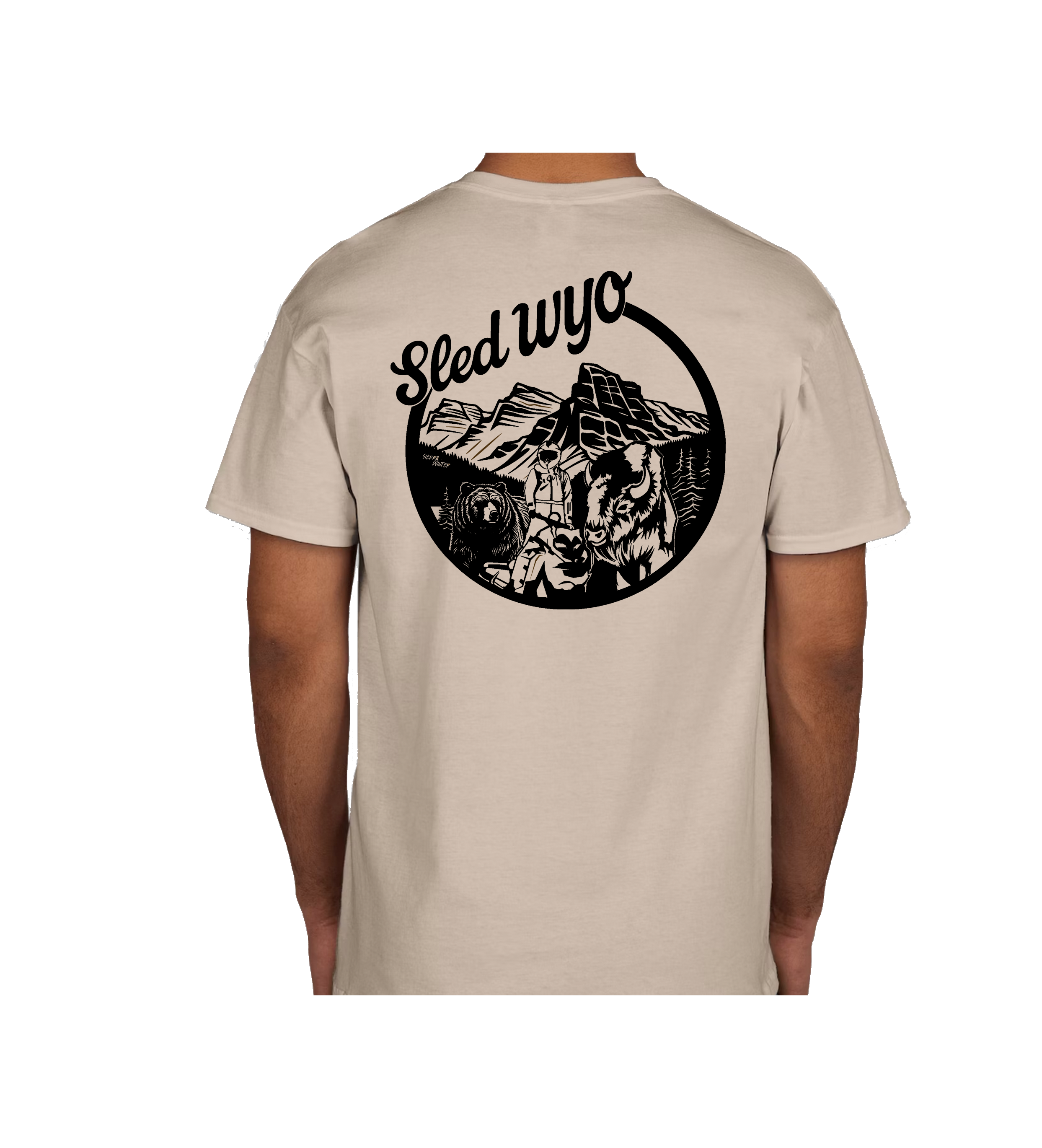 Wyoming AF Tee Back.png
