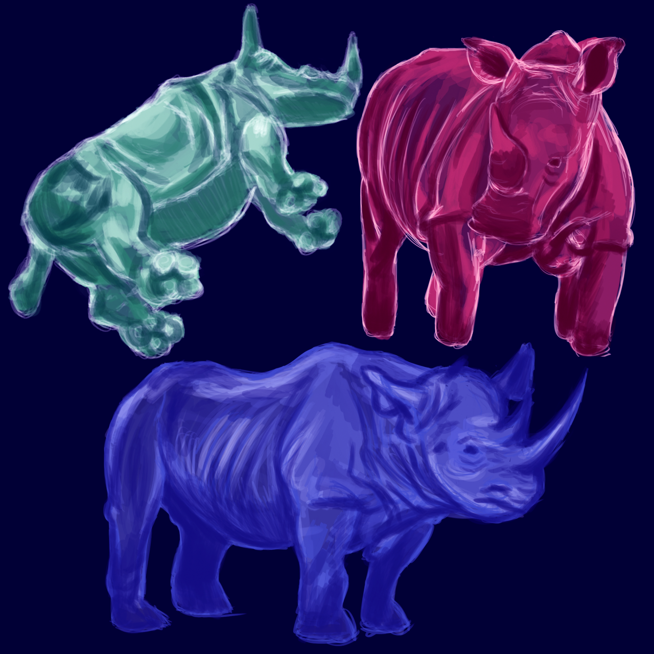 Rhino Studies.png