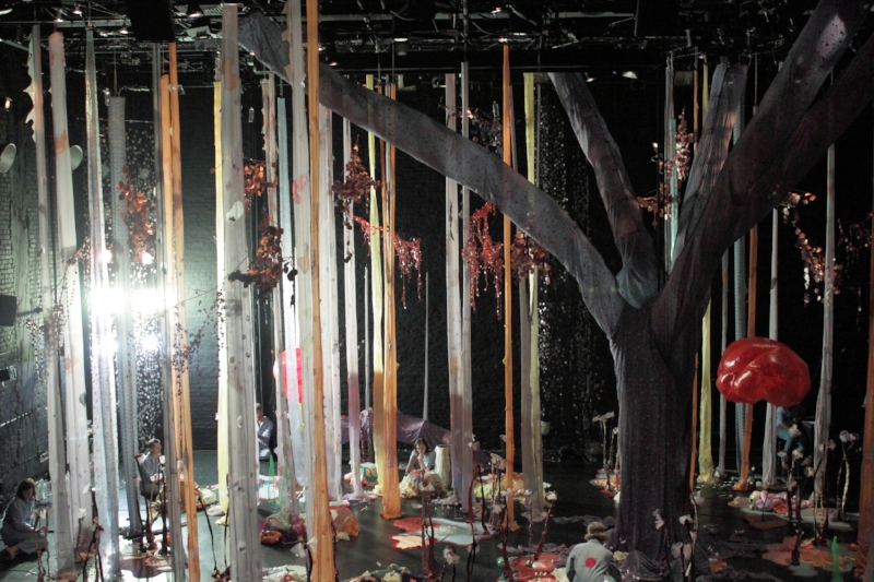 Shawn Hall, How to Build A Forest (HTBAF) The Kitchen, NYC 2011 - How To Build A Forest is a hybrid project: part visual art installation, part theater performance, unfolding over an extended eight-hour interval. Beginning in an empty space, visual artist Shawn Hall and theater artists Katie Pearl and Lisa D’Amour, along with a four-person crew, work obsessively to construct, dismantle and remove an elaborate fabricated forest.