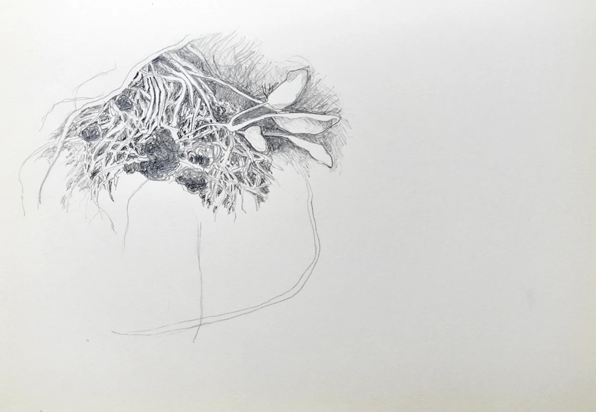 Pencil on paper, 18 x 21 cm