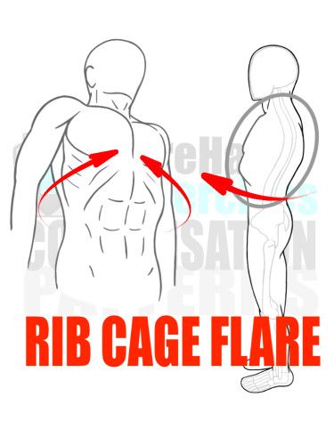 What's a Rib Flare and What Does it Mean? — Integrate 360 Physical
