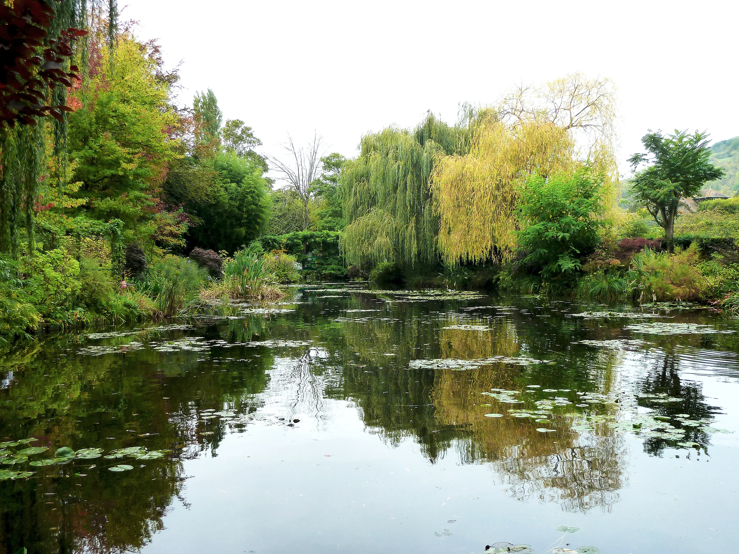 monets garden pond.jpg