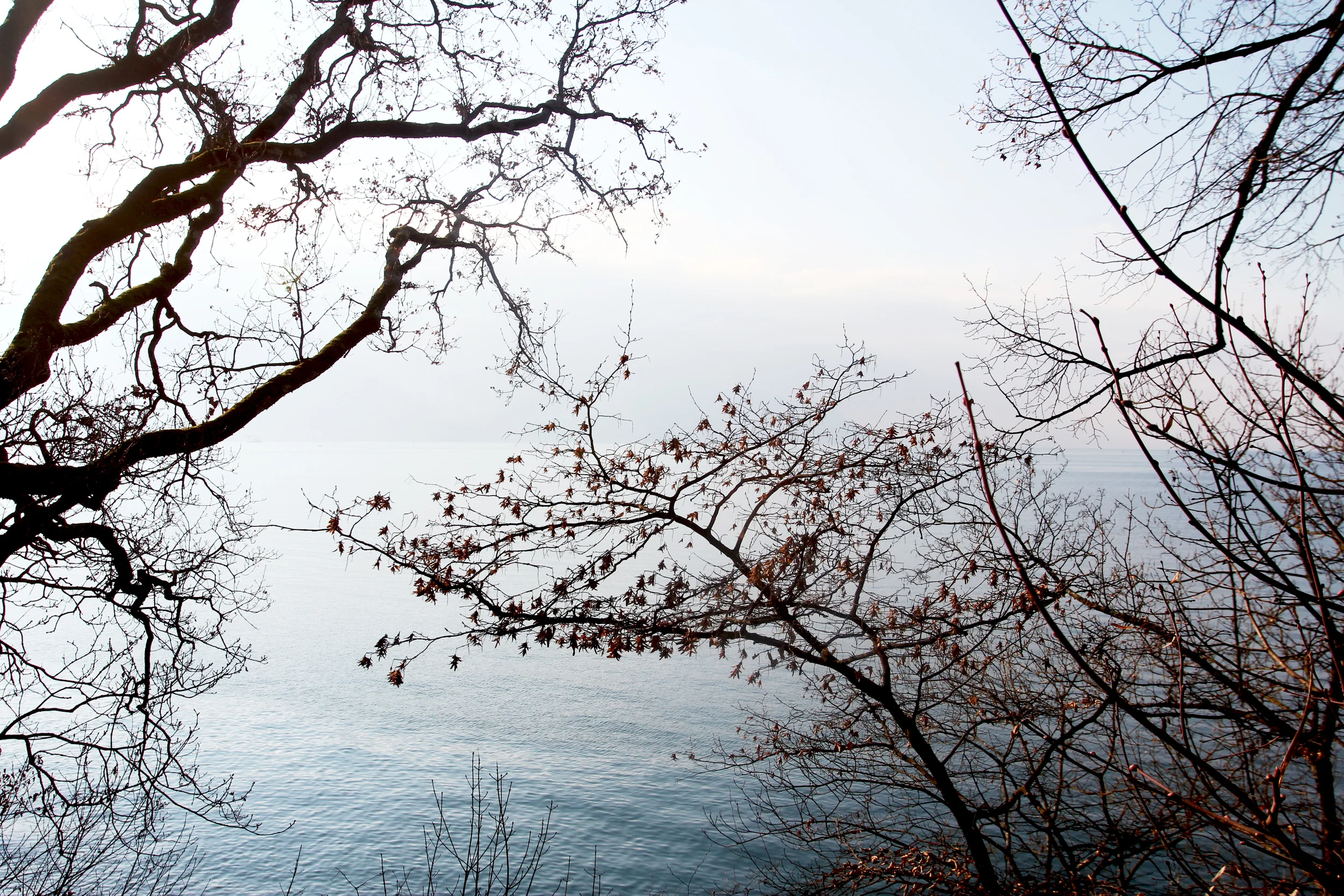 lakegeneva.jpg
