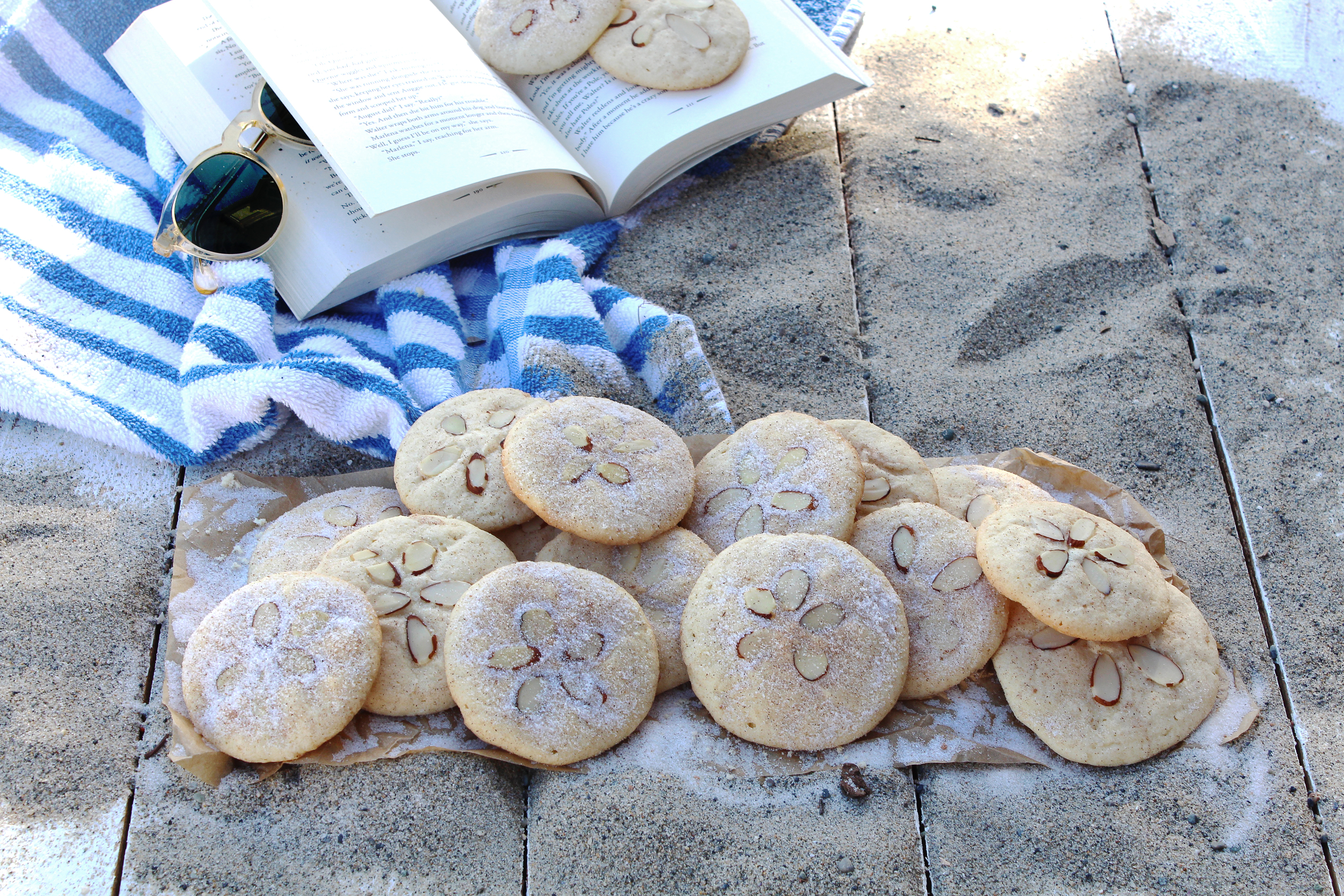sand dollar sugar cookies