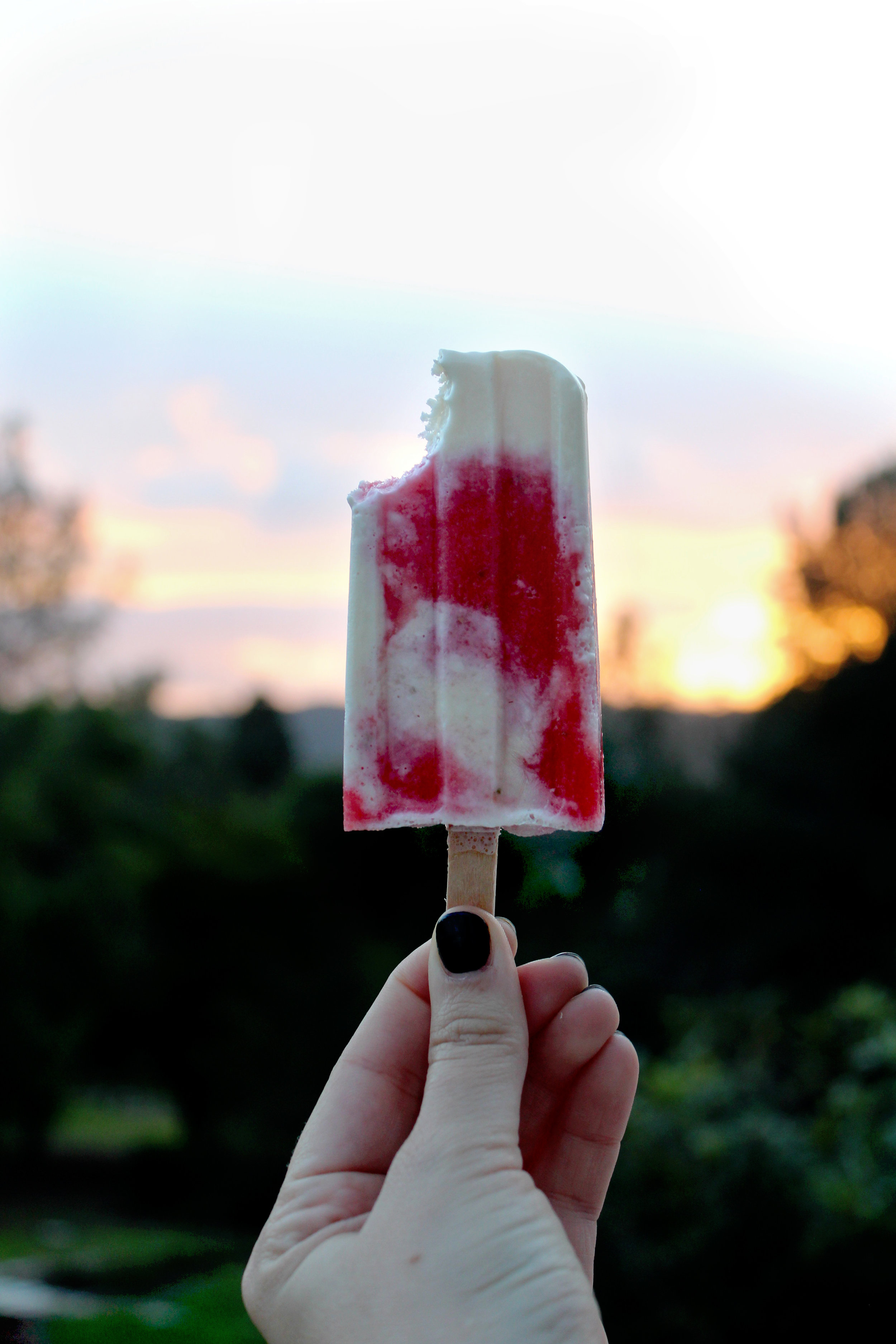 strawberry shortcake popsicle v1.jpg