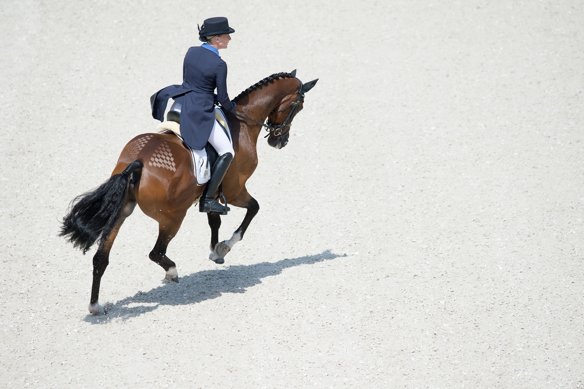 AACHEN2014_EV_CICO3_DR_BEL_DELIEDEKERKE-4783.jpg