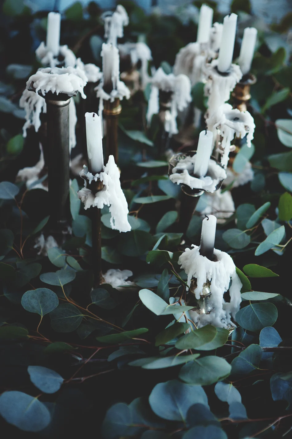 Arden Wray Photography